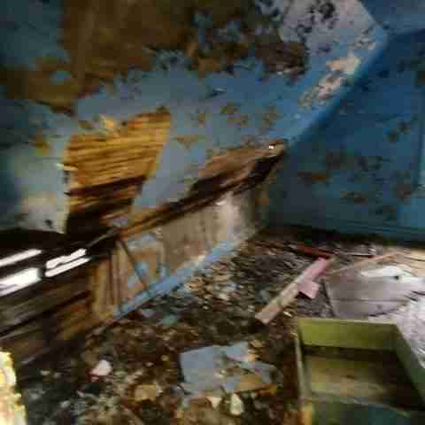 8031 conger (31).jpg